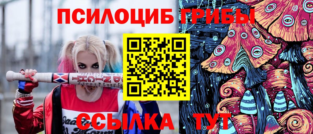 Галлюциногенные грибы Psilocybe Смоленск
