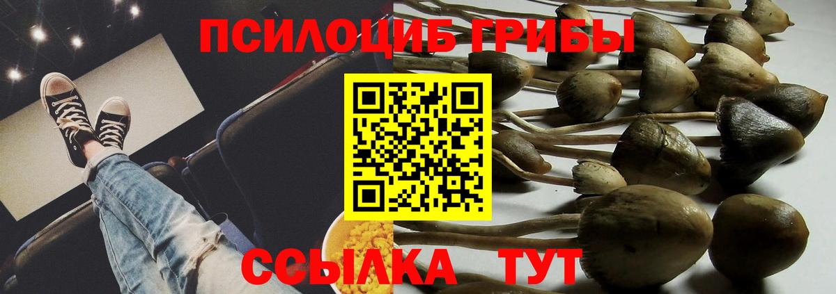 Псилоцибиновые грибы Psilocybe  Псилоцибиновые грибы MAGIC MUSHROOMS  Вход с VPN  Смоленск 